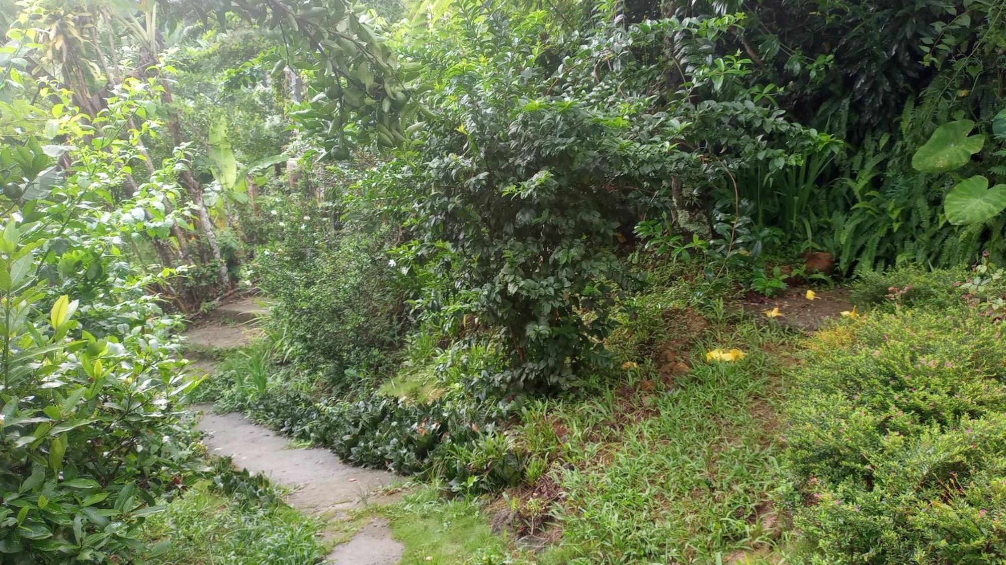 Ilha Grande - Casa Praia Da Longa Exteriér fotografie